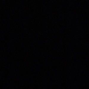 Meet your Posher, Shaniqua